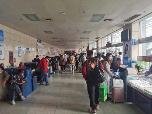 市交通局圓滿完成“雙節(jié)”期間運輸服務(wù)保障工作，全市運送旅客61.5萬人次