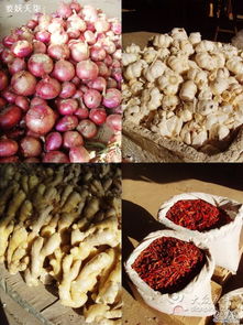 江楊農(nóng)產(chǎn)品批發(fā)市場(chǎng) 食用農(nóng)產(chǎn)品批發(fā)的安全與高效之地