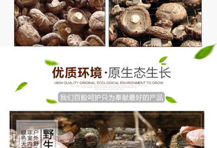 福建特產(chǎn)富農(nóng)園香菇 品質(zhì)冬菇的干貨魅力與批發(fā)優(yōu)勢(shì)