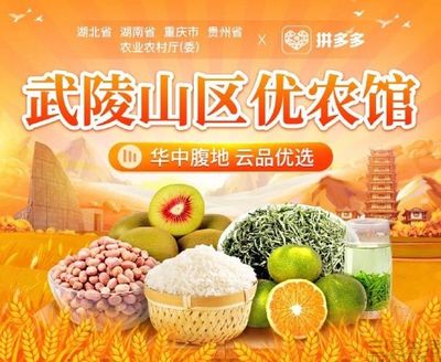 拼多多上線“武陵山區(qū)優(yōu)農(nóng)館”，助力食用農(nóng)產(chǎn)品上行與鄉(xiāng)村振興