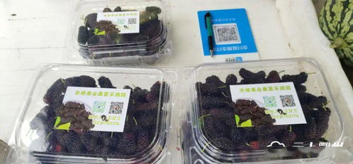 鄂城區(qū)食用農(nóng)產(chǎn)品進(jìn)入“帶證上市”時(shí)代，批發(fā)市場(chǎng)安全監(jiān)管再升級(jí)